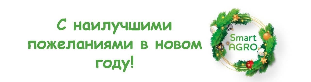 FMS Documentation > 2020/12/30 > С Новым Годом! > image001.jpg